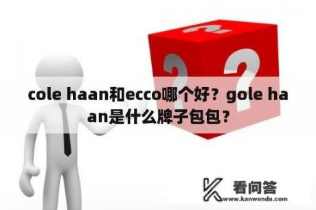 cole haan和ecco哪个好？gole haan是什么牌子包包？