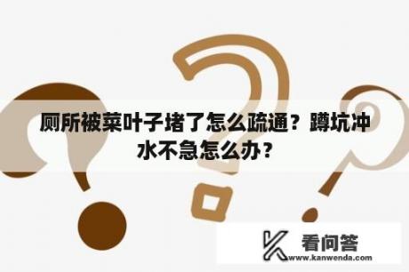 厕所被菜叶子堵了怎么疏通？蹲坑冲水不急怎么办？