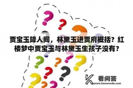 贾宝玉降人间，林黛玉进贾府概括？红楼梦中贾宝玉与林黛玉生孩子没有？