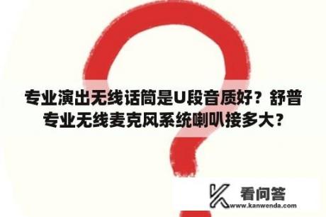 专业演出无线话筒是U段音质好？舒普专业无线麦克风系统喇叭接多大？