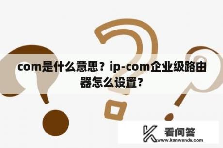 com是什么意思？ip-com企业级路由器怎么设置？