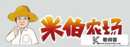 梅岭夏天避暑哪里好玩？武夷山门票怎么买最便宜？