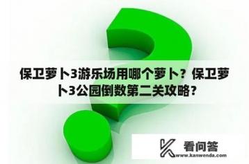 保卫萝卜3游乐场用哪个萝卜？保卫萝卜3公园倒数第二关攻略？