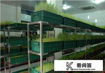 家有空房在农村，可以发展什么种植和养殖业？家用板房图片欣赏