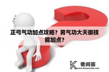 正弓气功加点攻略？男气功大天御技能加点？