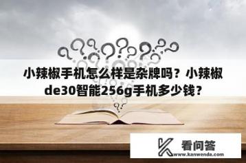 小辣椒手机怎么样是杂牌吗？小辣椒de30智能256g手机多少钱？