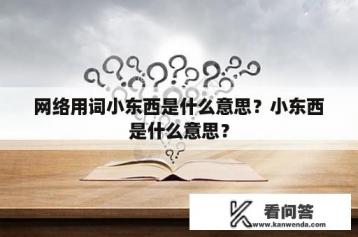 网络用词小东西是什么意思？小东西是什么意思？