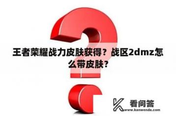 王者荣耀战力皮肤获得？战区2dmz怎么带皮肤？