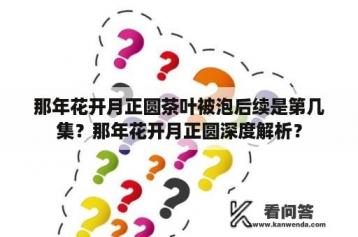 那年花开月正圆茶叶被泡后续是第几集？那年花开月正圆深度解析？