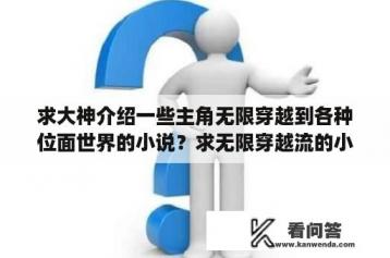 求大神介绍一些主角无限穿越到各种位面世界的小说？求无限穿越流的小说？