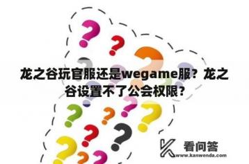 龙之谷玩官服还是wegame服？龙之谷设置不了公会权限？