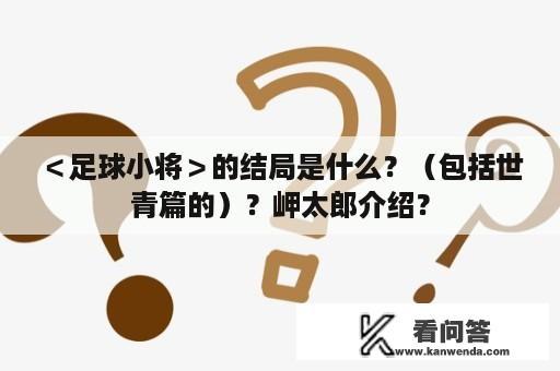 ＜足球小将＞的结局是什么？（包括世青篇的）？岬太郎介绍？