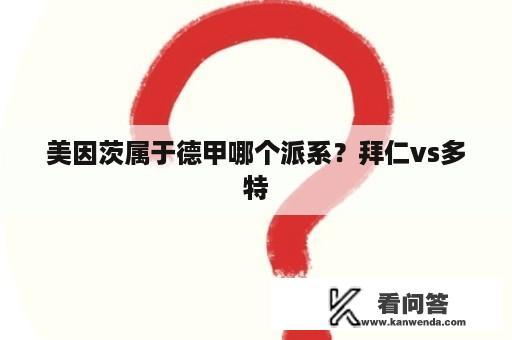 美因茨属于德甲哪个派系？拜仁vs多特