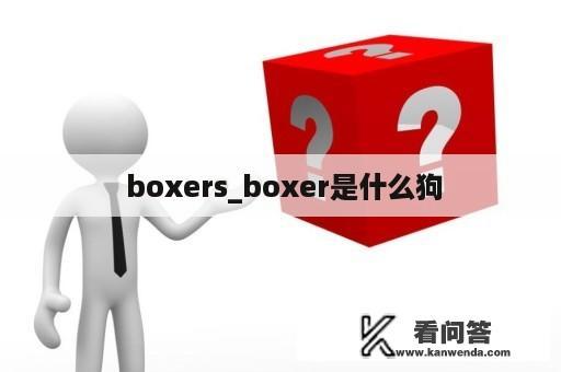  boxers_boxer是什么狗