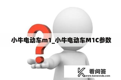  小牛电动车m1_小牛电动车M1C参数