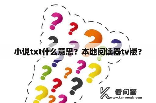 小说txt什么意思？本地阅读器tv版？