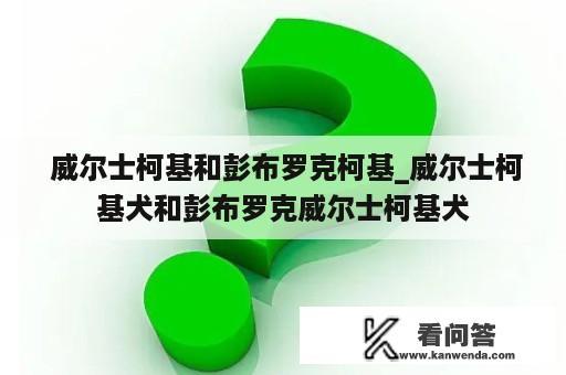  威尔士柯基和彭布罗克柯基_威尔士柯基犬和彭布罗克威尔士柯基犬