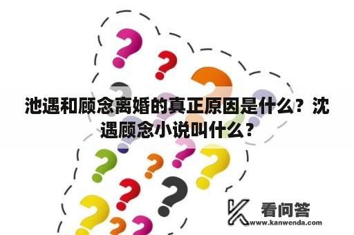 池遇和顾念离婚的真正原因是什么？沈遇顾念小说叫什么？