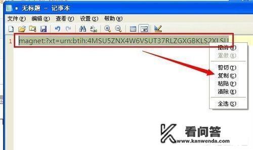 迅雷怎么用特征码及磁力链接下载资源？迅雷看看如何磁力链接？