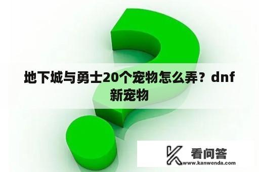 地下城与勇士20个宠物怎么弄？dnf新宠物