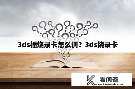 3ds插烧录卡怎么调？3ds烧录卡