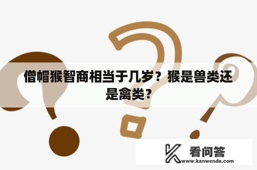 僧帽猴智商相当于几岁？猴是兽类还是禽类？