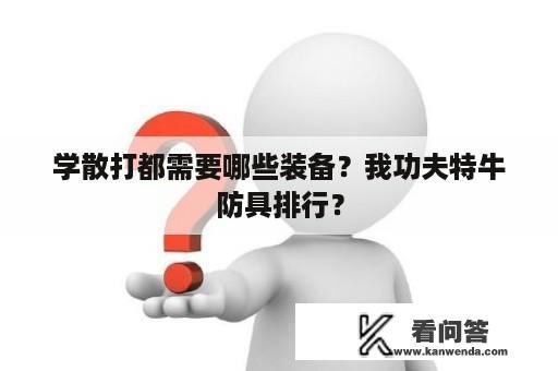 学散打都需要哪些装备？我功夫特牛防具排行？