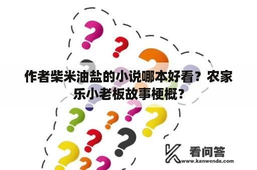 作者柴米油盐的小说哪本好看？农家乐小老板故事梗概？