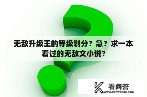 无敌升级王的等级划分？急？求一本看过的无敌文小说？