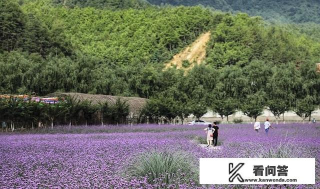 陕西省汉中市适合1日游的景点有哪些？汉中65岁免费景点？