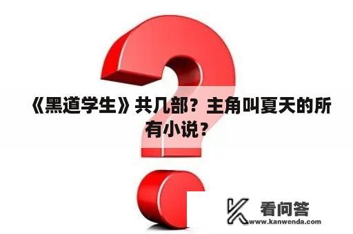 《黑道学生》共几部？主角叫夏天的所有小说？