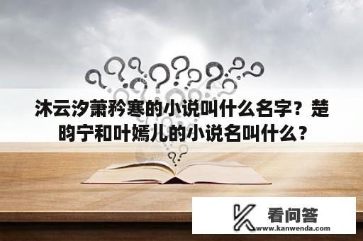 沐云汐萧矜寒的小说叫什么名字？楚昀宁和叶嫣儿的小说名叫什么？