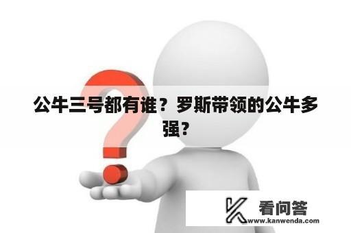 公牛三号都有谁？罗斯带领的公牛多强？