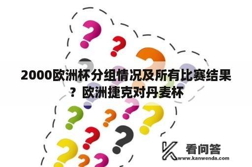 2000欧洲杯分组情况及所有比赛结果？欧洲捷克对丹麦杯