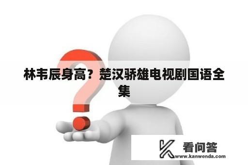 林韦辰身高？楚汉骄雄电视剧国语全集