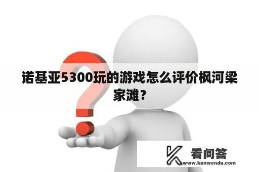 诺基亚5300玩的游戏怎么评价枫河梁家滩？