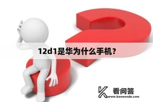 12d1是华为什么手机？