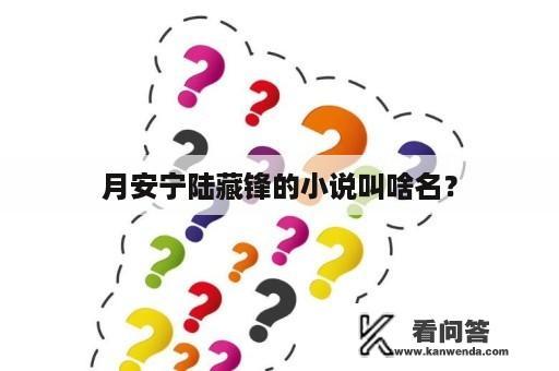 月安宁陆藏锋的小说叫啥名？