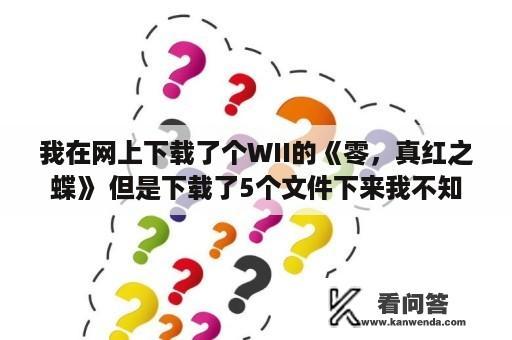 我在网上下载了个WII的《零，真红之蝶》 但是下载了5个文件下来我不知道怎么用。我不知道怎么解压和玩？