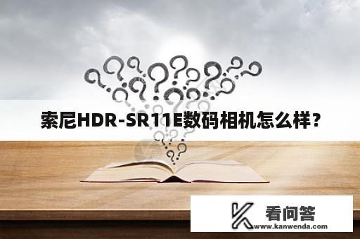 索尼HDR-SR11E数码相机怎么样？