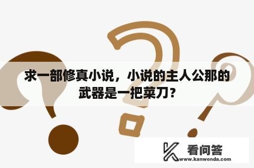 求一部修真小说，小说的主人公那的武器是一把菜刀？