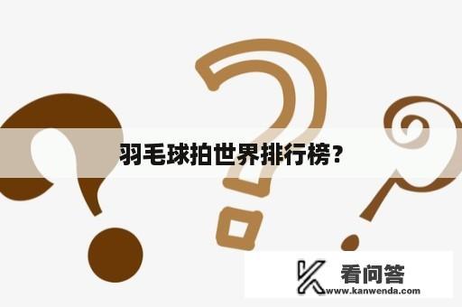 羽毛球拍世界排行榜？