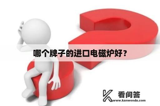 哪个牌子的进口电磁炉好？