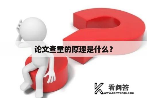 论文查重的原理是什么？