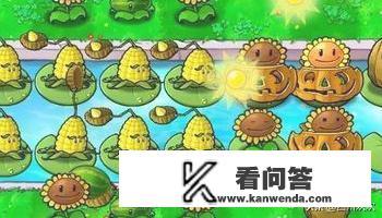 植物大战僵尸无尽版攻略图文解析？