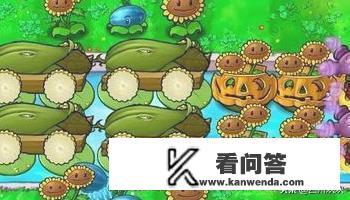 植物大战僵尸无尽版攻略图文解析？