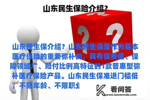 山东民生保险介绍？