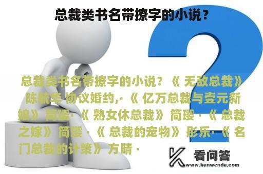 总裁类书名带撩字的小说？