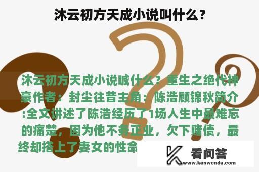 沐云初方天成小说叫什么？