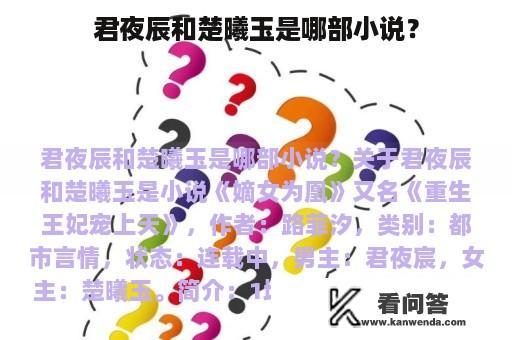 君夜辰和楚曦玉是哪部小说？